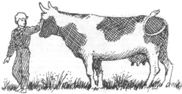 Мне снится королевство - img_15.png