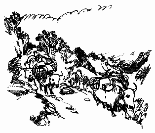 Непал: Обычаи и этикет - i_006.png