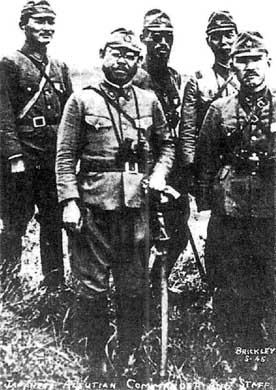 Японская армия. 1942—1945 - i_050.jpg