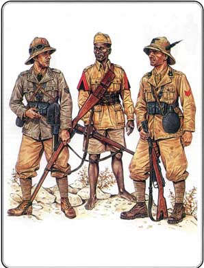 Итальянская армия. 1940–1943. Африканский театр военных действий - i_030.jpg