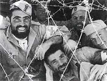 Итальянская армия. 1940–1943. Африканский театр военных действий - i_044.jpg