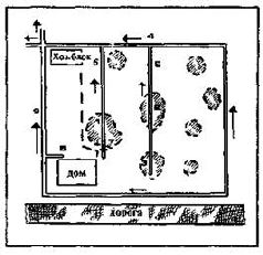 Как благоустроить приусадебный участок - pic_2.jpg