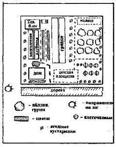 Как благоустроить приусадебный участок - pic_3.jpg