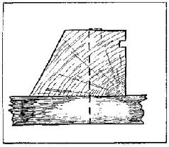 Как благоустроить приусадебный участок - pic_5.jpg