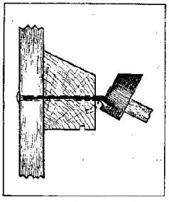 Как благоустроить приусадебный участок - pic_7.jpg