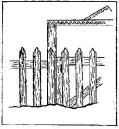 Как благоустроить приусадебный участок - pic_18.jpg