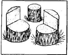 Как благоустроить приусадебный участок - pic_36.jpg