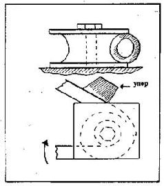 Как благоустроить приусадебный участок - pic_43.jpg
