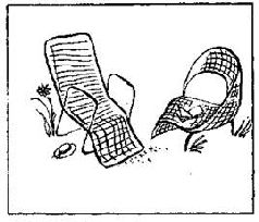 Как благоустроить приусадебный участок - pic_46.jpg