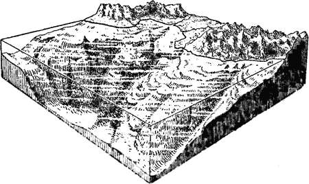 Морское дно - i_028.png