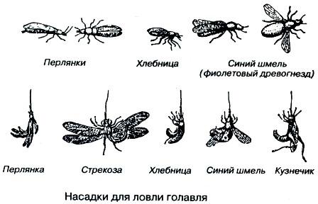 Тайны рыбацкого счастья - i_005.jpg