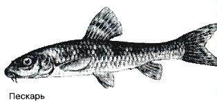 Тайны рыбацкого счастья - i_020.jpg