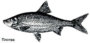 Тайны рыбацкого счастья - i_021.jpg