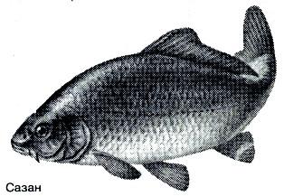 Тайны рыбацкого счастья - i_027.jpg