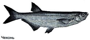 Тайны рыбацкого счастья - i_038.jpg