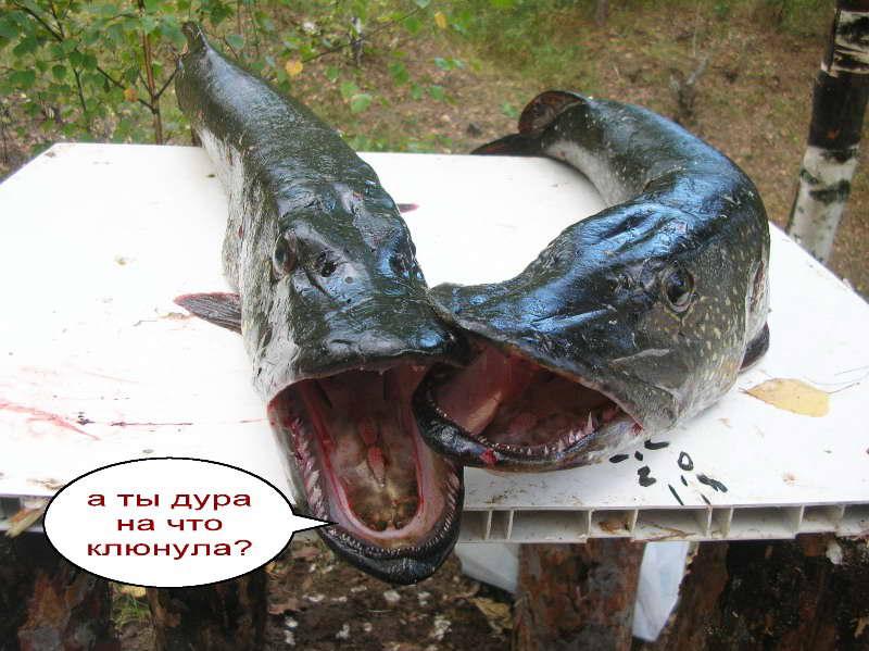 Тайны рыбацкого счастья - i_041.jpg