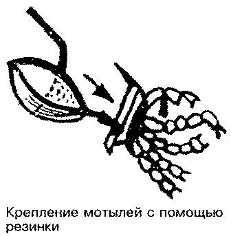 Тайны рыбацкого счастья - i_057.jpg