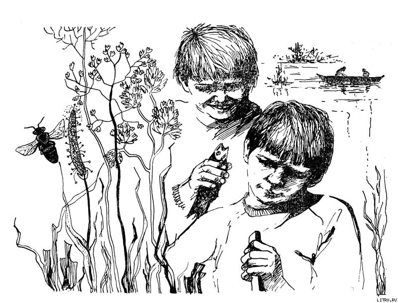 Приключение на реке Лесной - doc2fb_image_02000001.jpg