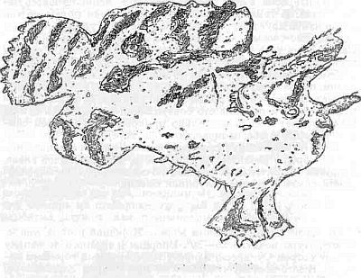 «Витязь» в Индийском океане - i_003.jpg