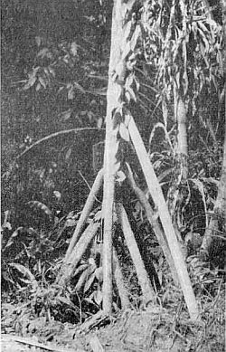 «Витязь» в Индийском океане - i_014.jpg