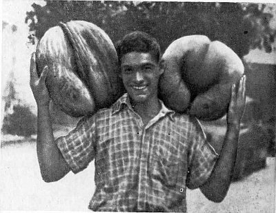 «Витязь» в Индийском океане - i_065.jpg