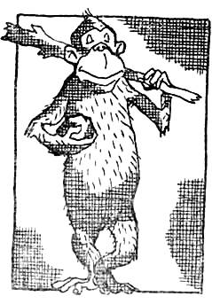 Охотники за черепами - i_011.jpg