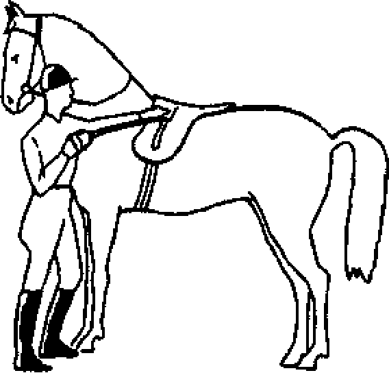 Как правильно ездить верхом - _10.png