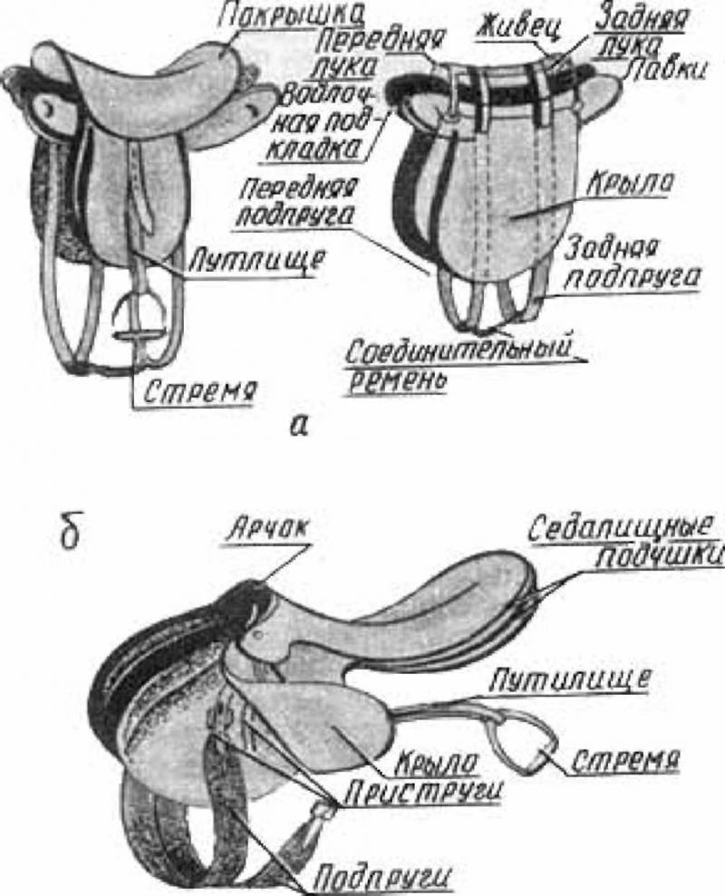 Как правильно ездить верхом - _04.jpg