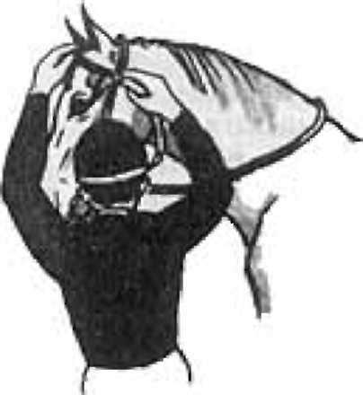 Как правильно ездить верхом - _07.jpg