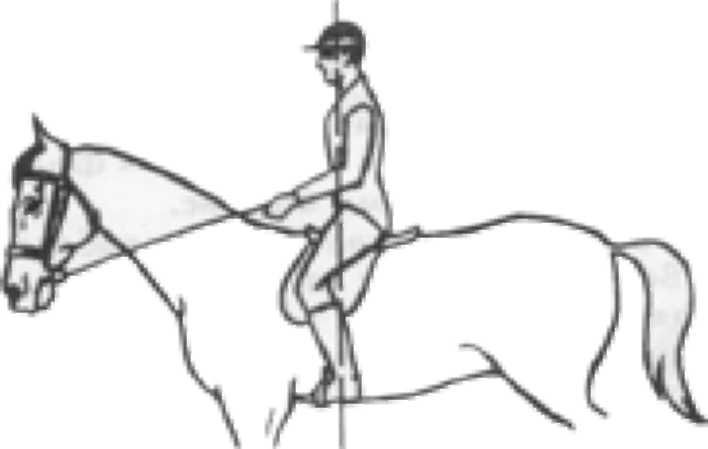 Как правильно ездить верхом - _08.jpg