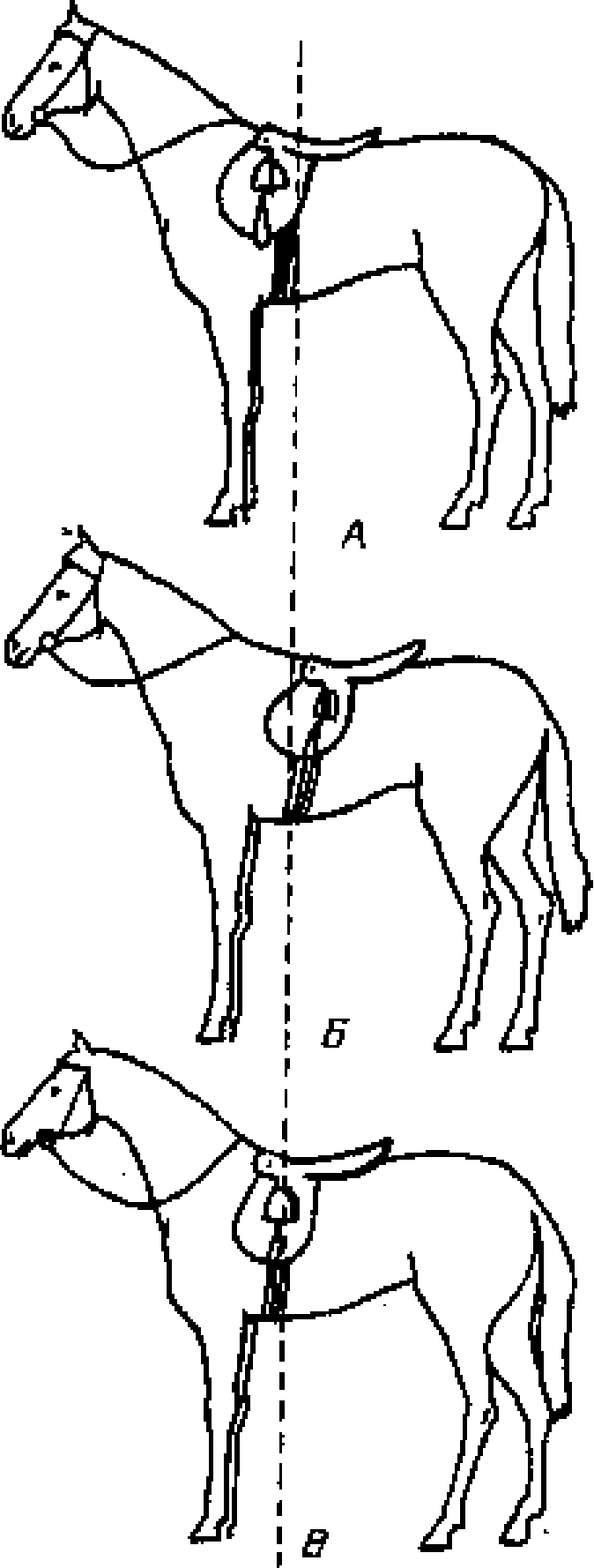 Как правильно ездить верхом - _09.png