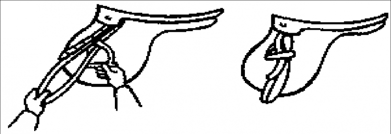 Как правильно ездить верхом - _11.png