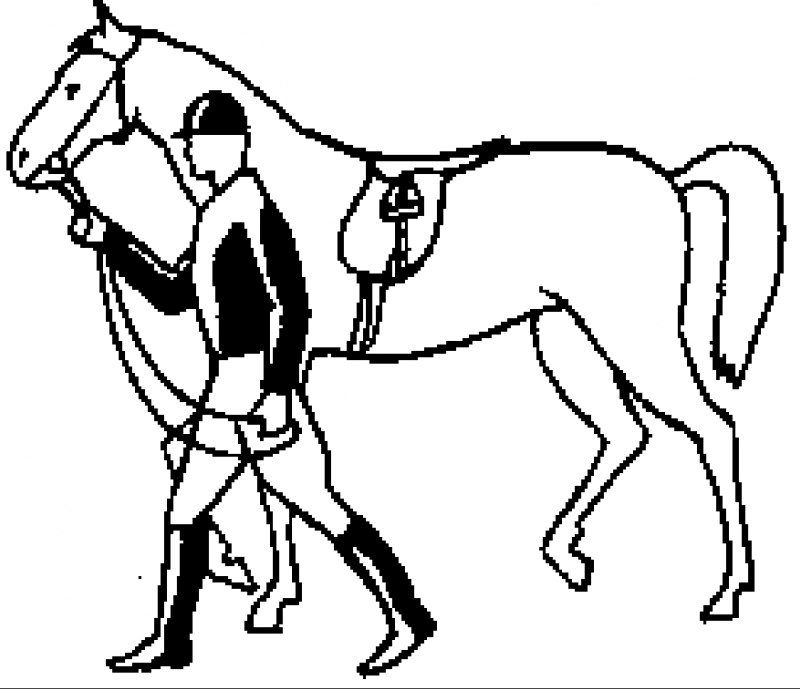 Как правильно ездить верхом - _12.png