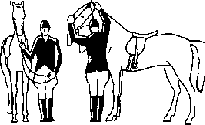 Как правильно ездить верхом - _13.png