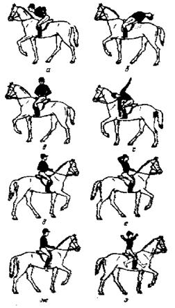Как правильно ездить верхом - _26.jpg