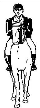 Как правильно ездить верхом - _30_2.jpg