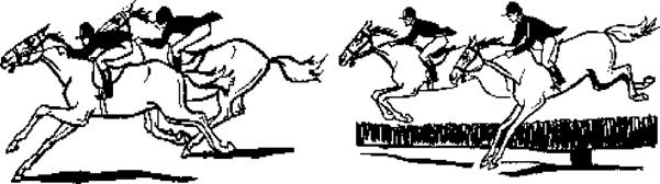 Как правильно ездить верхом - _36.jpg