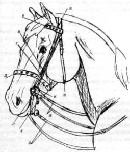 Уроки верховой езды - _08.jpg