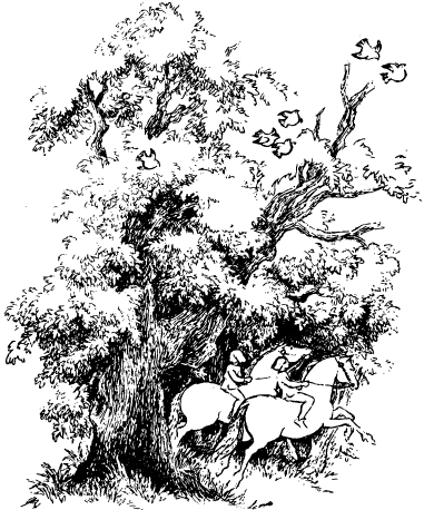 Юнкер Нильс из Эки - i_008.png