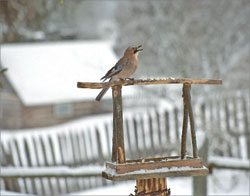 Литературная Газета  6260 ( № 56 2010) - TAGhttp___www_lgz_ru_userfiles_image_06-07_6262_2010_6-4_jpg907595