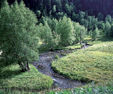 Литературная Газета  6255 ( № 51 2009) - TAGhttp___www_lgz_ru_userfiles_image_52_6256_2009_20-4_jpg961247