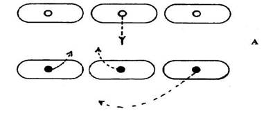 Секреты японской стратегии - i_007.jpg