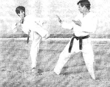 Секреты японской стратегии - i_019.jpg