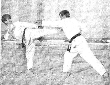 Секреты японской стратегии - i_020.jpg