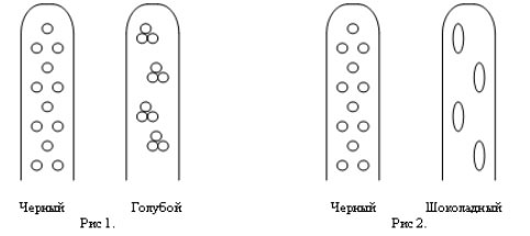 Генетика - _1.jpg