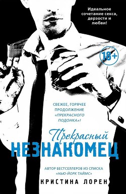 Прекрасный незнакомец - автор Лорен Кристина 