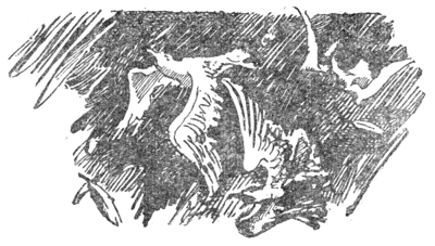 В Помпеях был праздник - i_025.png