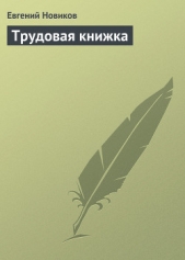  Новиков Евгений - Трудовая книжка