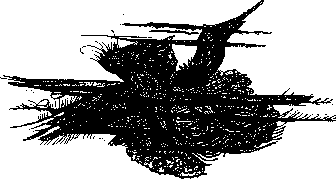 Аойя - rsl01002921844__028.png