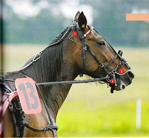 Тайны обер-чека. Сборка рысака. Что? Куда? Для чего? - _08.jpg